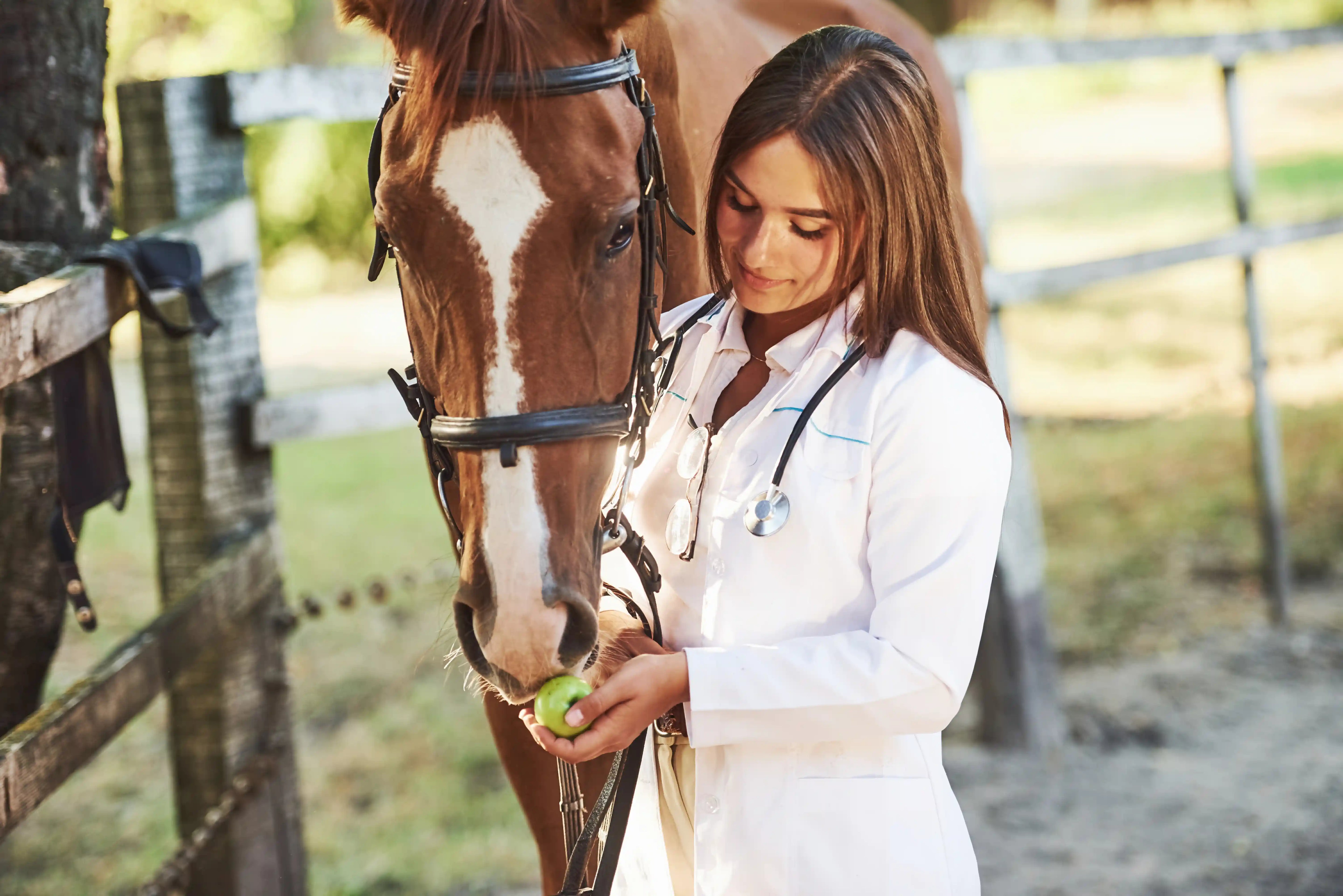 Equiner Herpesvirus (EHV): Wenn der Virus im Stall zuschlägt