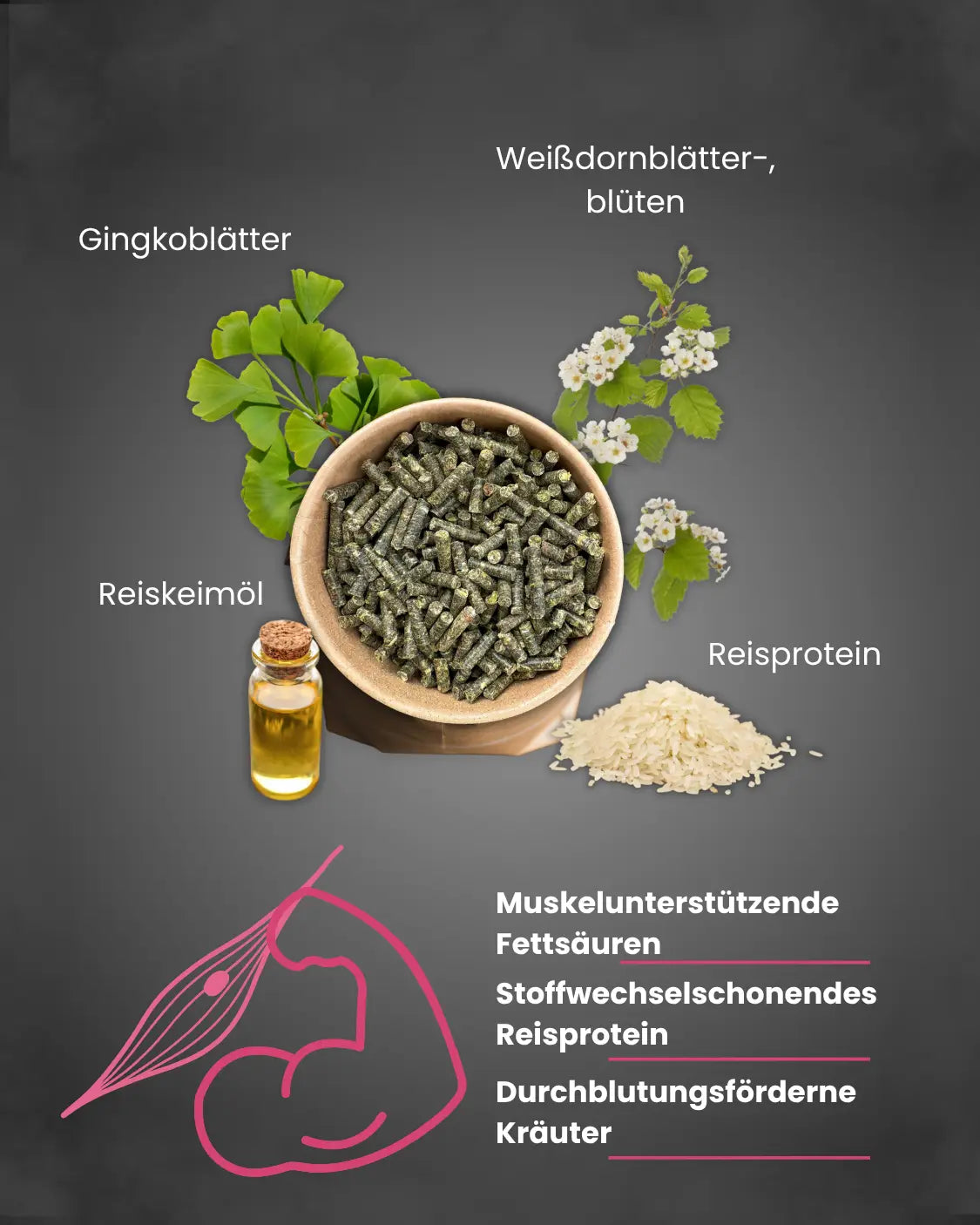 Krähenbusch® Muskel Pro