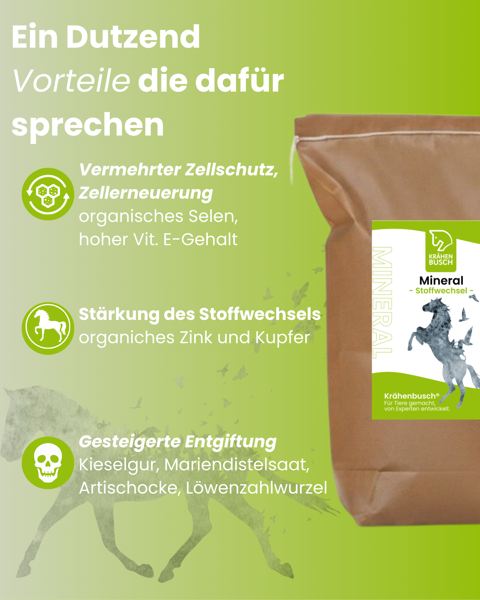 Mineral Stoffwechsel