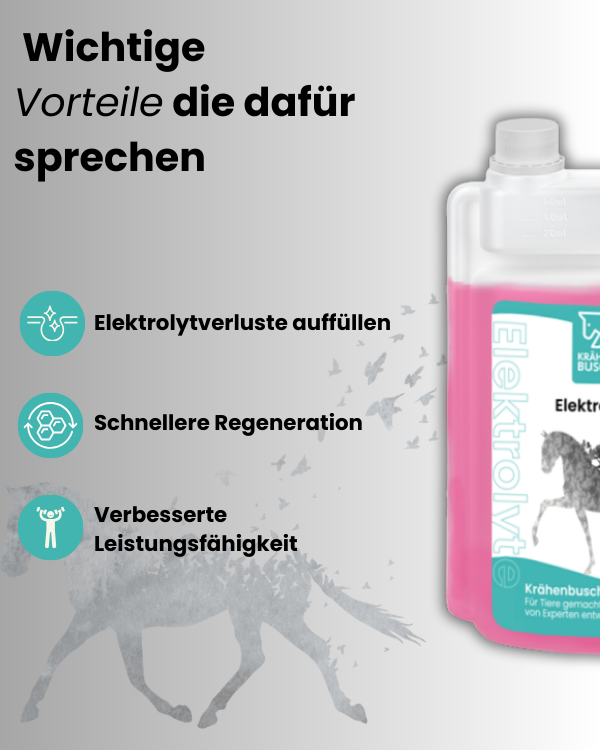 Elektrolyte flüssig