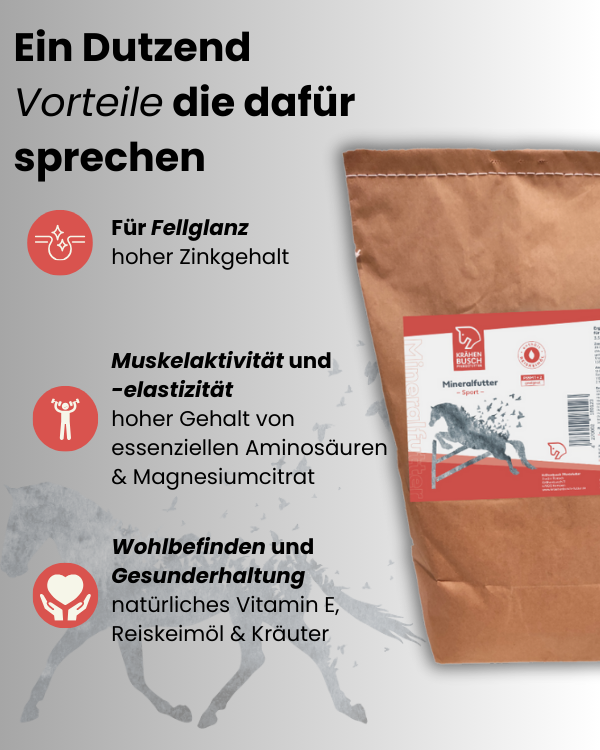 Mineralfutter Sport