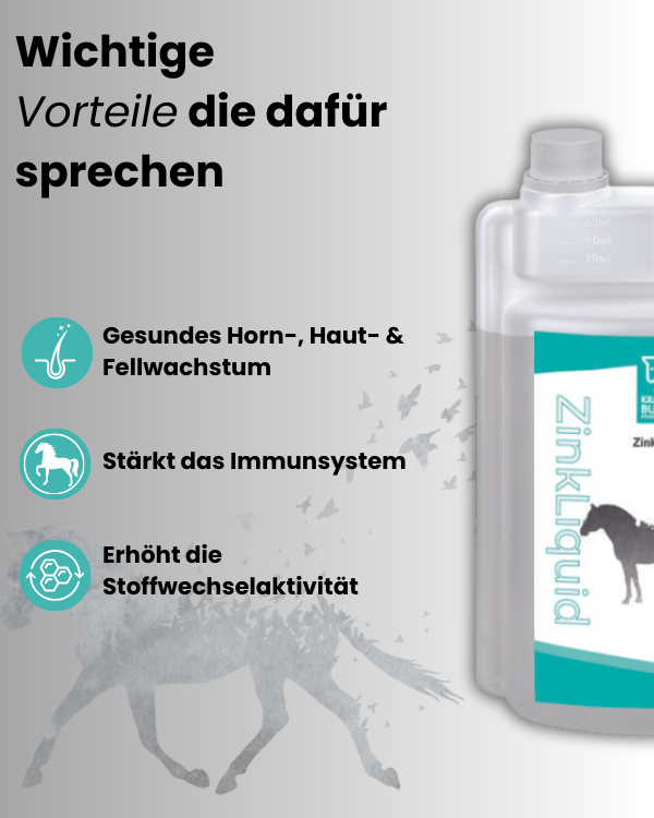 Krähenbusch Zink Liquid für Pferde – Grafik mit Vorteilen: gesundes Horn-, Haut- und Fellwachstum, starkes Immunsystem, aktive Stoffwechselfunktion