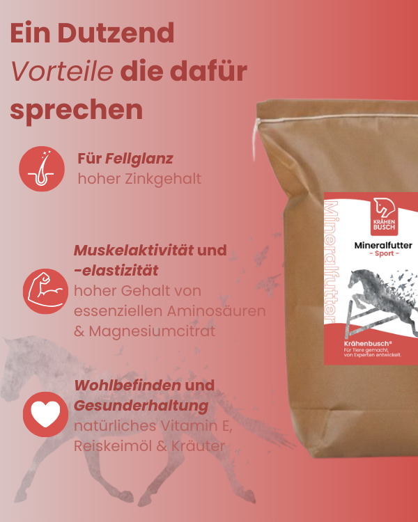 Infografik zum Krähenbusch Mineralfutter Sport mit Vorteilen für Fellglanz, Muskelaktivität und Wohlbefinden beim Pferd