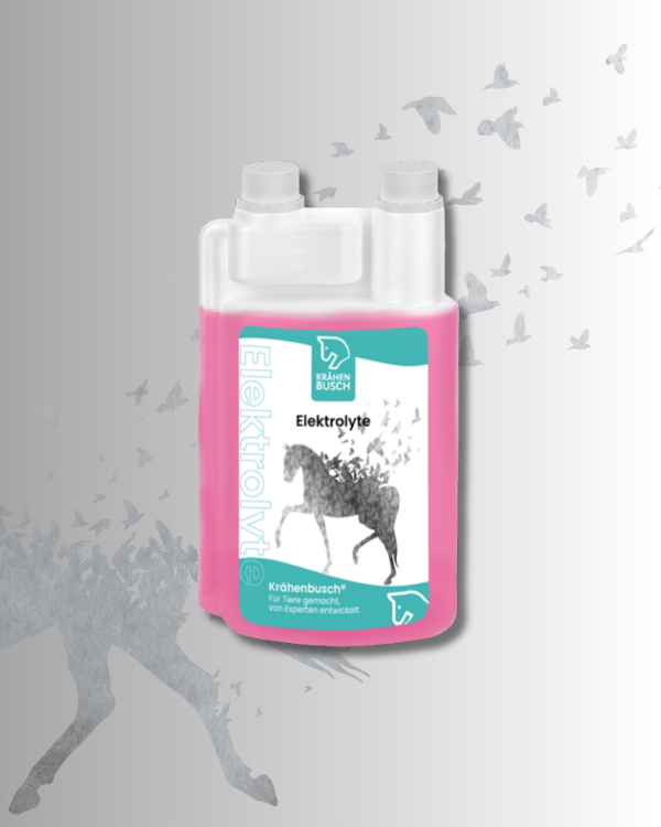 Elektrolyte flüssig