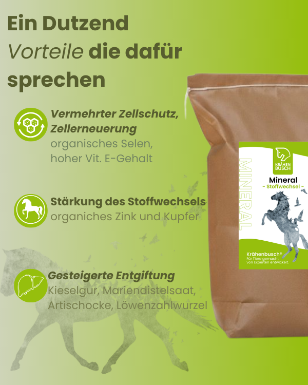 Krähenbusch Mineralfutter Stoffwechsel für Pferde – Grafik mit Vorteilen wie Zellschutz, Stoffwechselstärkung und Entgiftungsunterstützung