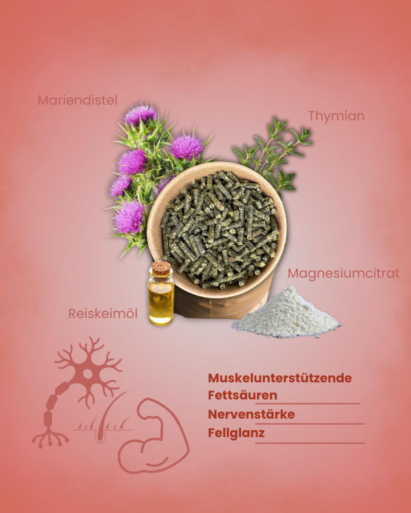 Mineralfutter Sport Pellets mit Mariendistel, Thymian und Magnesiumcitrat für Muskeln, Nerven und Fellglanz