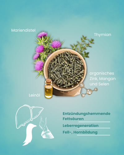 Krähenbusch® Mineralfutter Organisch