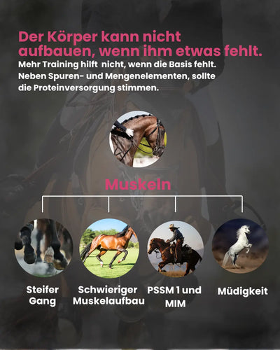 Krähenbusch® Muskel Pro