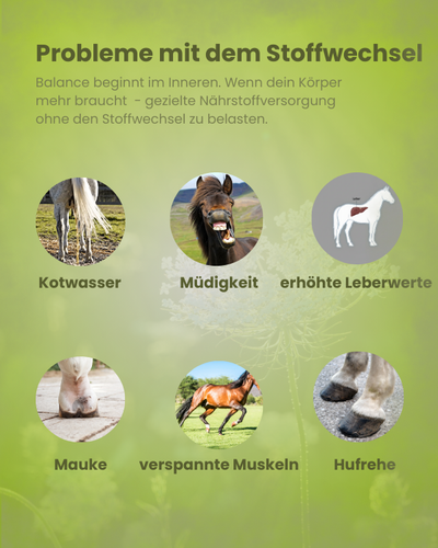 Stoffwechselprobleme beim Pferd mit Symptomen wie Kotwasser, Müdigkeit, Mauke und Hufrehe