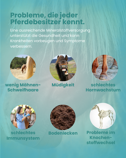 Krähenbusch® Mineralfutter Organisch