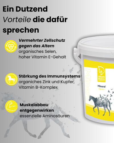 Krähenbusch® Mineral Senior