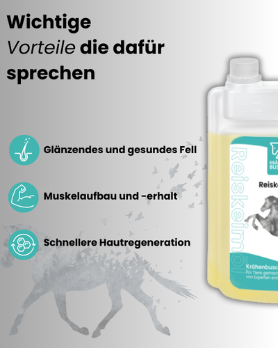 Krähenbusch® Reiskeimöl - Aktionsware